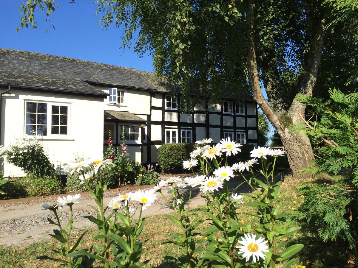 Yew Tree Cottage Leominster Kültér fotó